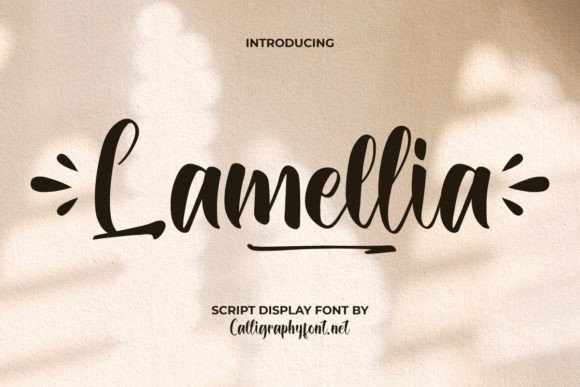 Lamellia: A Playful Display Font That Delivers Joy at First Glance